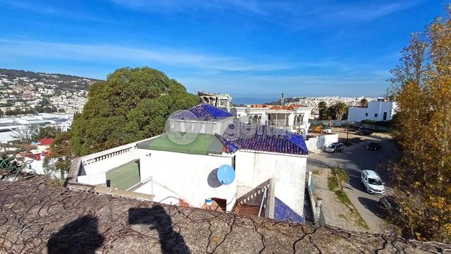 TNG-TA-1081 - فيلا للبيع في كاليفورنيا - 2