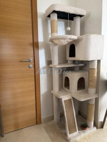 Grand arbre à chat à vendre - 2