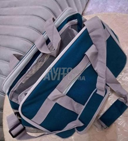 accessoires pour chat - 2