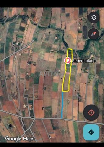 Terrain à vendre à Tiflet – 1 hectare clôturé et constructible