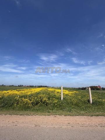 TERRAIN 7600 M TITRE