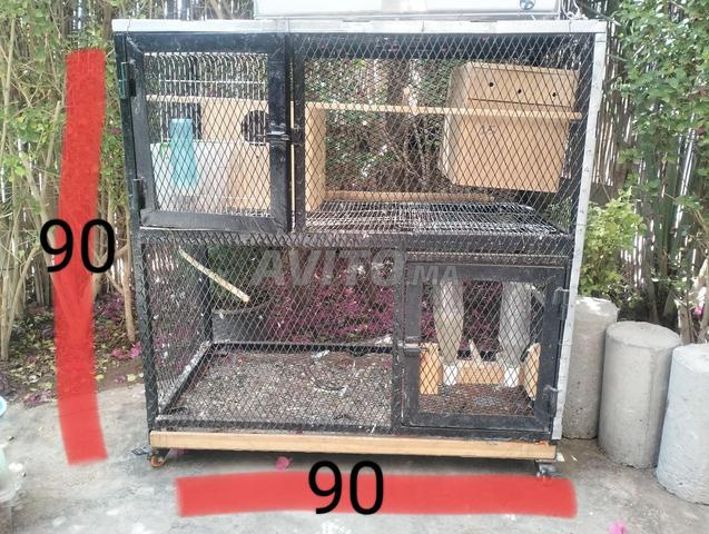 Cage pour oiseaux et animaux