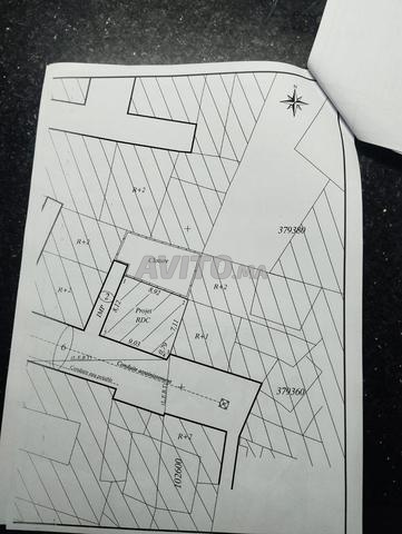 Deux terrains à vendre - 2