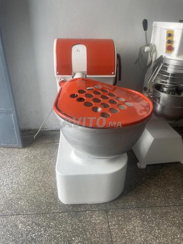 عجانة ريكس جوج فيتاسات - 2