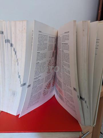 La rousse encyclopédie médicale de la famille - 2