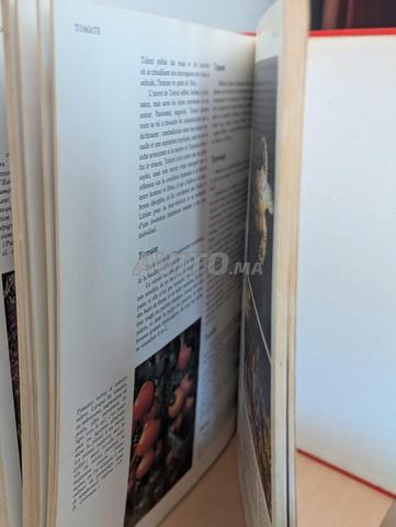 Savoir plus 10 Sagan z - 2