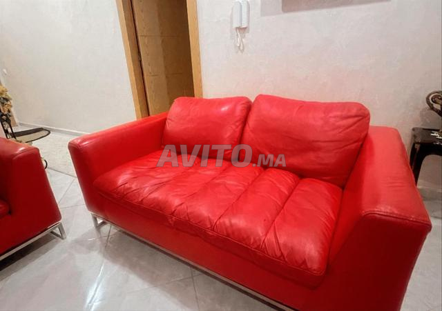 Salon en cuir et plumes - 2