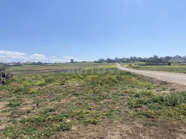 أرض مسجلة للبيع على شاطئ البحر - 2