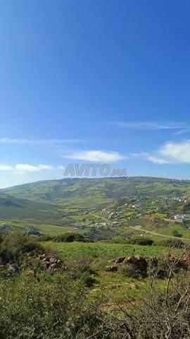 Terrain à vendre. - 2