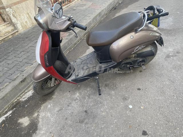 دراجة نارية ألفا سيتي 2022 - 2