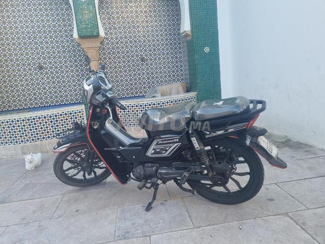 Moto bicane 33
