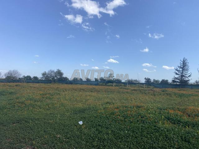 Terrain à vendre - 2