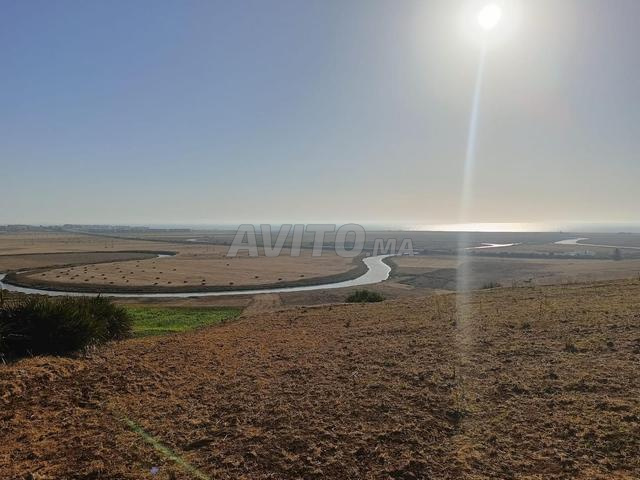 Deux terrains à vendre Agricoles - 2