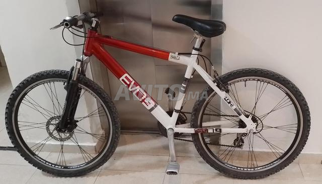 دراجة هوائية للبيع في الجديدة - 2