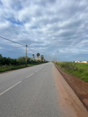 أرض في الصخيرات على طريق مساحة 4226 متر