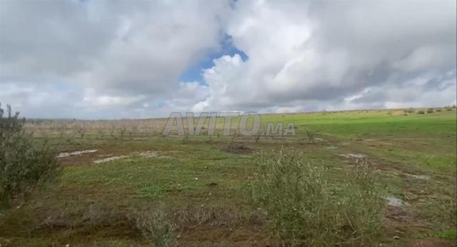 Superbe ferme agricole dans un excellent emplacement - 2