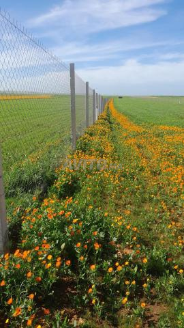 مزرعة للبيع - 2