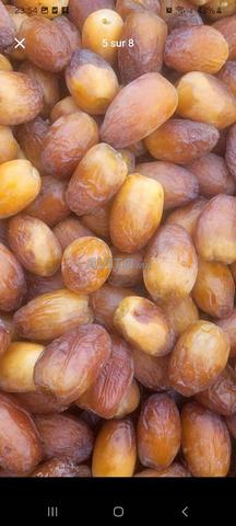 Ferme à vendre Errachidia - 2