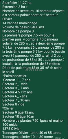 Ferme à Rachidia - 2