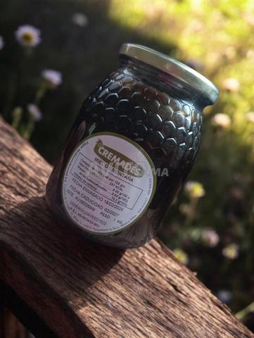 Vente de miel de daghmous - 2