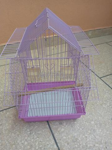 Cage à oiseaux à vendre - 2