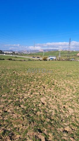 Terrain à vendre - 2