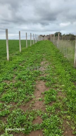 Terrain 13 000 m2 titre Région Benslimane - 2