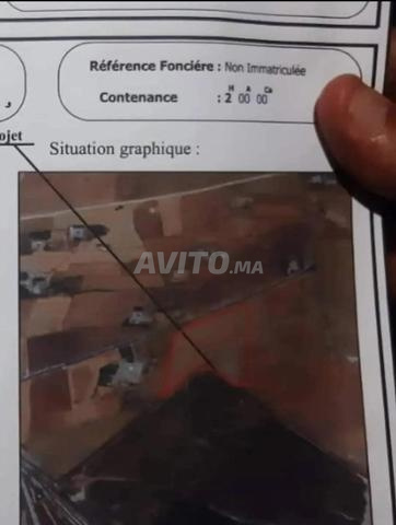 10 الخادمة على الطريق الرابطة بين حطان وبوجنيبة - 2