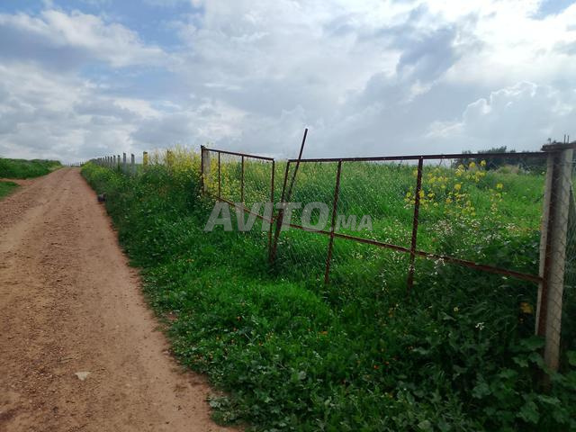 600 mètres propriété adelia - 2