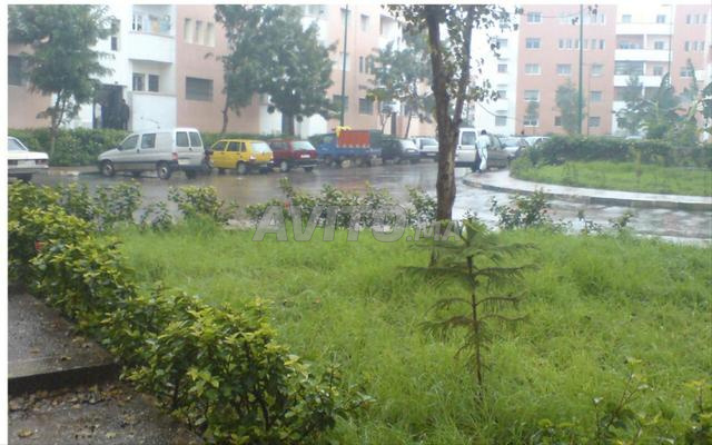 appartement avec jardin - 2