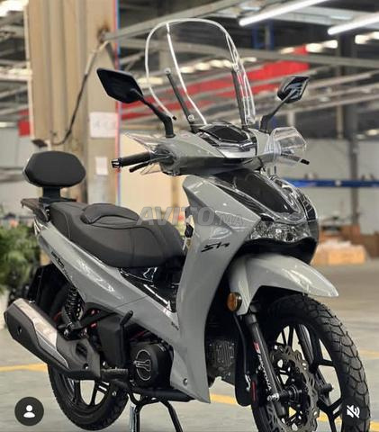 دايتونا ش 50 جديدة