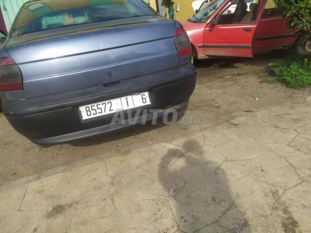 بارك عين دريج لمجاعرة وزان. - 2