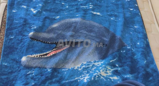 Drap de bain ou de plage - 2