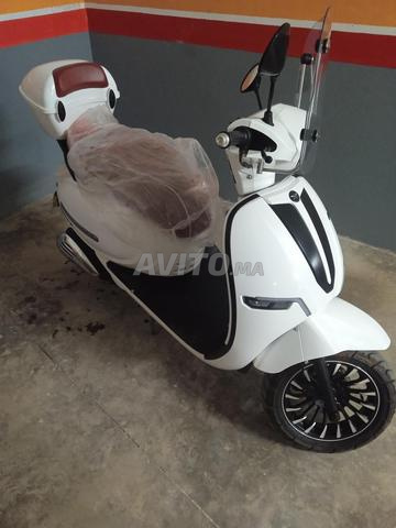 ميموزا المحمدية - 2