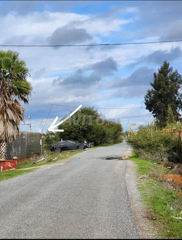 Terrain agricole - 2