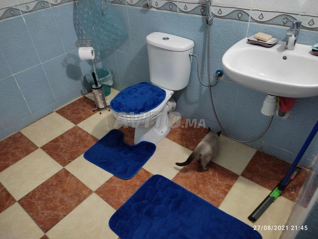 Apparemment à vendre - 2