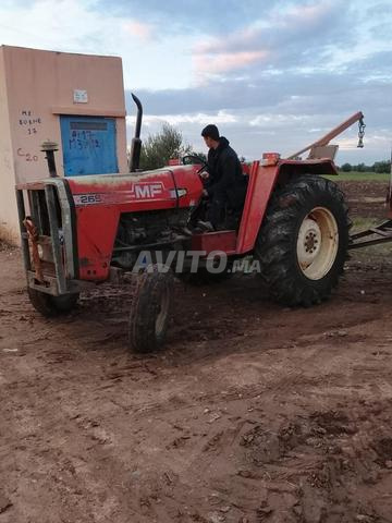 Massey Ferguson 265 - 2