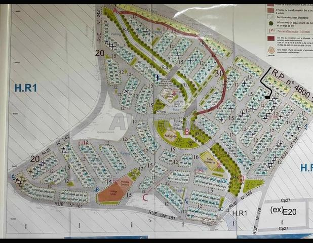 Lotissement Zemmouri Layamane, Badrion Kaznaya - 2