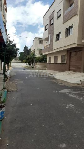 على ما يبدو - 2