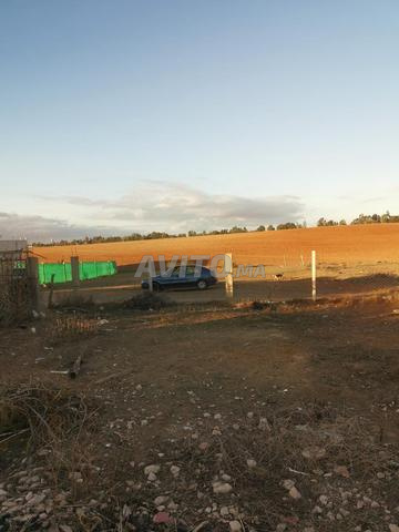 Terrain à vendre - 2