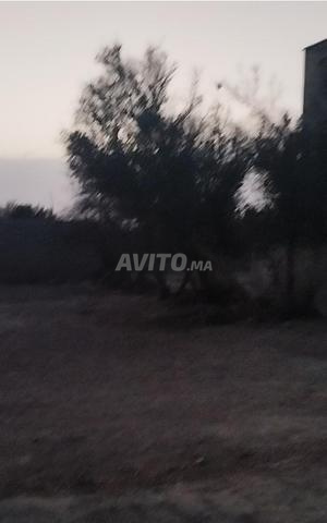 Terrain à vendre - 2