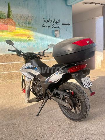 بينيلي TXM موديل 2020 - 2