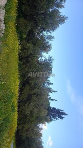 Vente ferme agricole équipée 5 hectares - 2