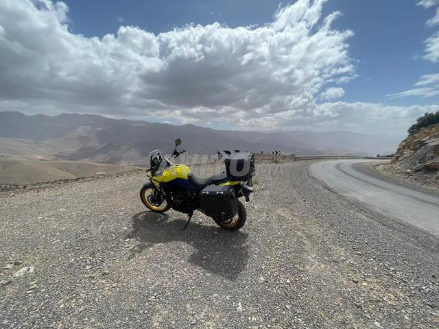 SUZUKI V-STROM 800 2024 WW MAROC - 2