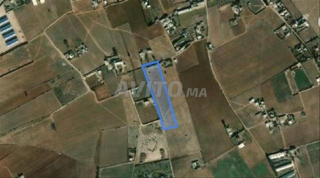 Terrain agricole titré près de Dar Bouaaza et Had Soualem - 2