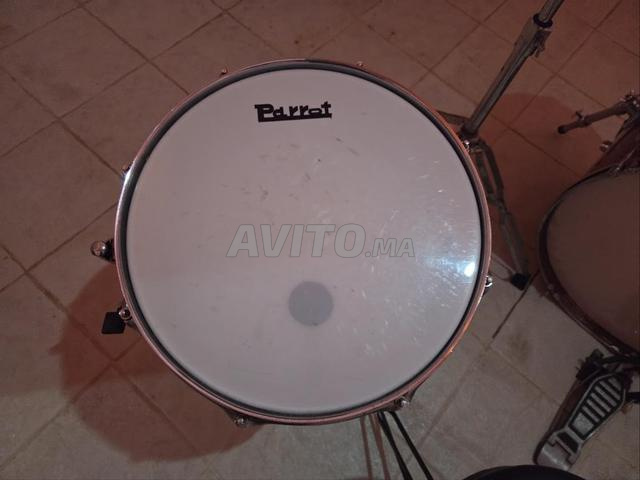 Batterie (drums) Musique Parrot - 2