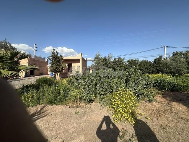 فيلا فلاحية للبيع قرب مراكش – 16700 م² - 2