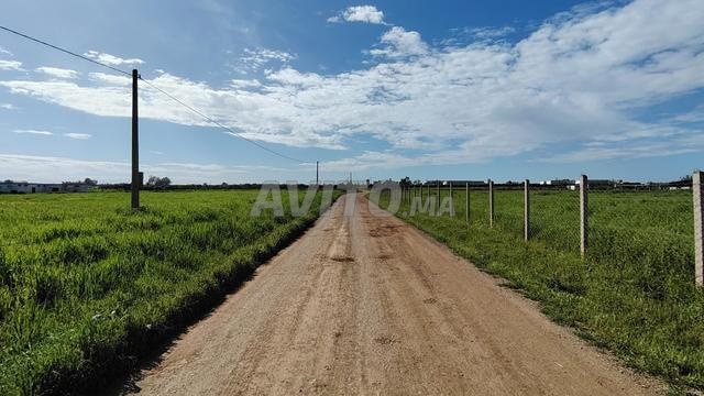 1.3 ha titré à 7 min du centre ville Benslimane