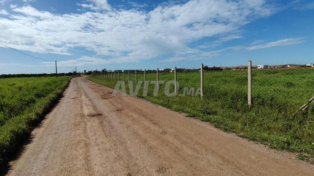 1.3 ha titré à 7 min du centre ville Benslimane - 2