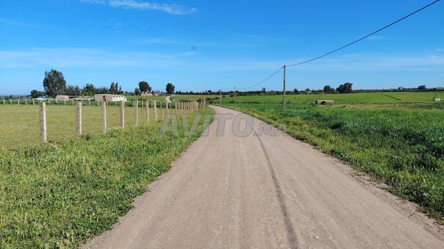 1.4 هكتار زراعي مسجل على بعد 5 كم من بنسليمان
